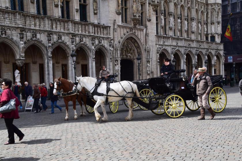 Euro 201504 365 (Large)